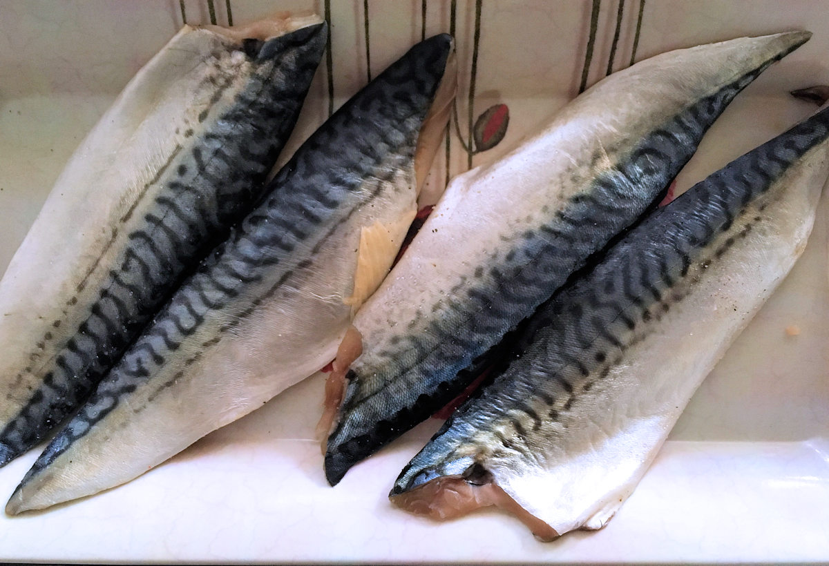 Sticky Mackerel Fillet Recipe Cuisine Fiend